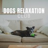 Dogs Relaxation Club