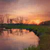 Frogs and River Sounds with Birds for Meditation and Relaxation - Single album lyrics, reviews, download