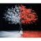 Akane Sasu (instrumental) - Aimer lyrics