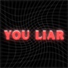 You Liar - Single