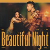 Beautiful Night (feat. 王淨) artwork