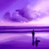 Purple Past album lyrics, reviews, download