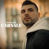 Carnale - Single, 2023