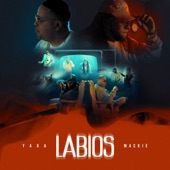 Labios artwork