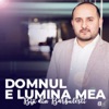 DOMNUL E LUMINA MEA - Single