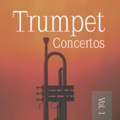 Trumpet Concerto (1. Adagio) artwork