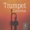 Trumpet Concerto (1. Adagio) artwork