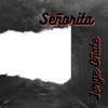 Señorita - Single