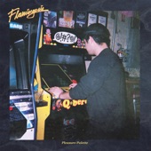 Flamingosis - Down for the Fifth Time