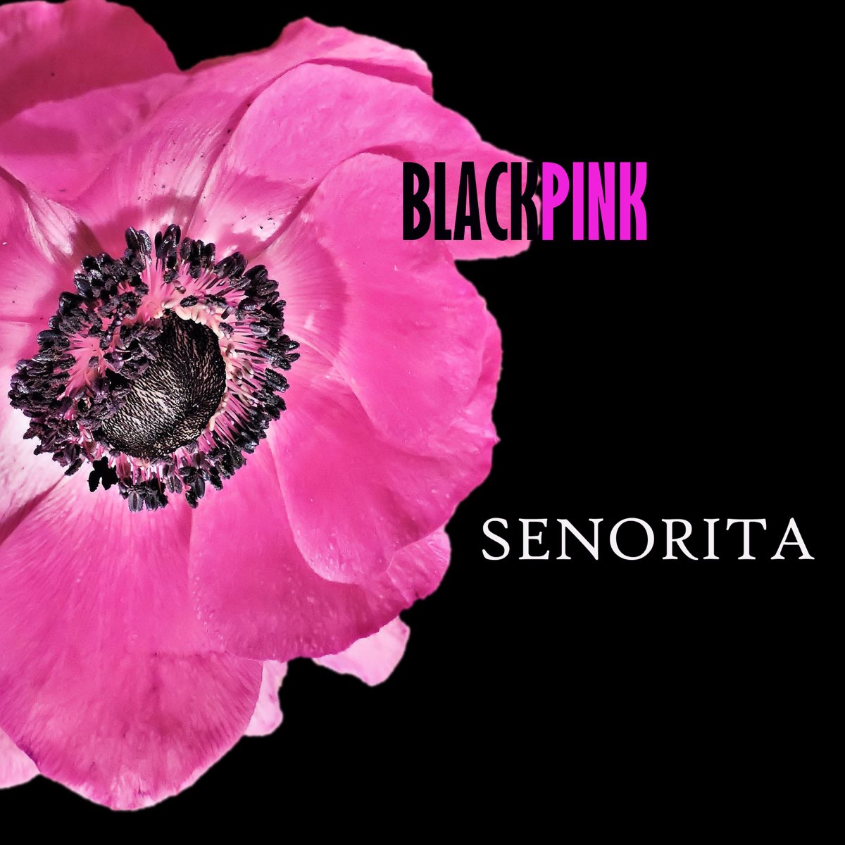 Blackpink Ep By Senorita On Apple Music