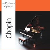 24 Preludes, Op 28. no.19 in E-flat major. Vivace artwork