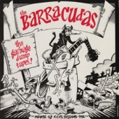 The Barracudas - Next Time Round