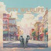 City Wildlife - EP