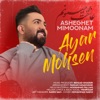 Asheghet Mimoonam - Single
