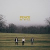 Peace Be Still - Single