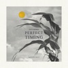 Perfect Timing - Single