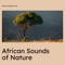 African Rhythms - African Drums, African Kalimba Time & african music lyrics
