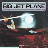 Big Jet Plane (Pharmacist Remix) artwork