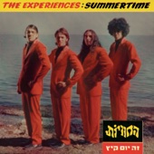 זה יום קיץ (The Experiences) artwork