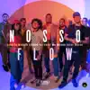 Nosso Flow - Single album lyrics, reviews, download