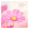 A flower that heals and emits sorrow - EP