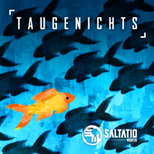 Taugenichts - Saltatio Mortis