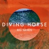 Big Sands - Single