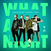 What a Night artwork