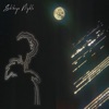 Shibuya Nights - Single