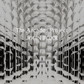 The Arcades Project - John Foxx