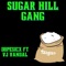 Sugar Hill Gang (feat. VJVandal) - Dopesicx lyrics