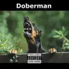 Doberman - Single album lyrics, reviews, download
