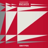 DIMENSION : ANSWER artwork