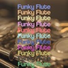 Funky Flute - Single