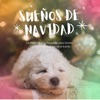 Sueños de Navidad - La Mejor Música Navideña para Dormir, Calmar la Mente y Aliviar el Estrés