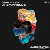 Dreamfields (Dub Mix) artwork