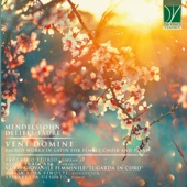 Messe brève in G Minor: II. Gloria (For Soloists, Female Choir and Piano) artwork