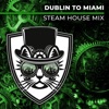 CATS ON BRICKS & Krysta Youngs - Dublin to Miami (Steam House Extended)