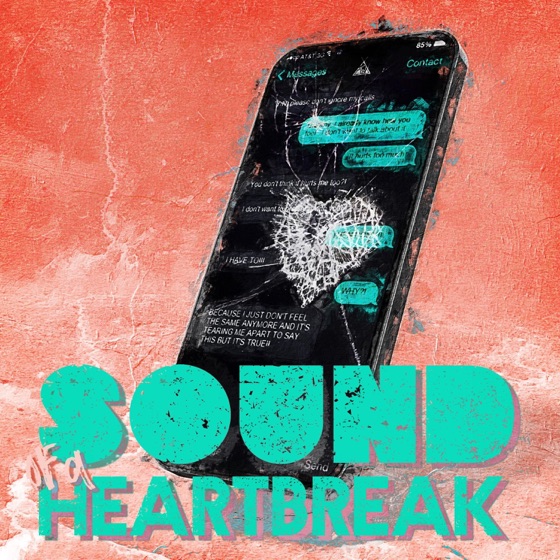 Cover artwork for Sound of a Heartbreak