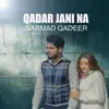 Qadar Jani Na - Single album lyrics, reviews, download