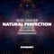 Natural Perfection - Noel Sanger lyrics