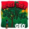 Ackee Tree - Single