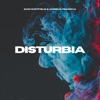 Disturbia - Single