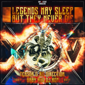 Legends May Sleep, but They Never Die - Tensor & Re-Direction, Baby Raw & DJ Ron