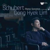 Schubert: Piano Sonatas D. 959 & 960 artwork