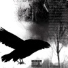 Sexto sentido - Single