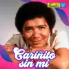 Cariñito Sin Mí (Versión Turreo) - Single album lyrics, reviews, download