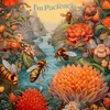 I'm Paciència - Single