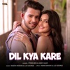 Dil Kya Kare - Single
