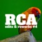 Cumbia Campirana (RCA Edit) cover